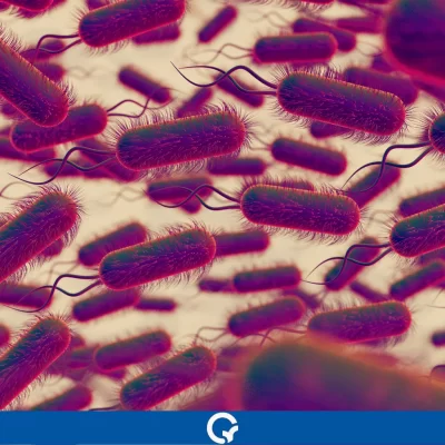 Prevenção e Controlo de Legionella Qualitest