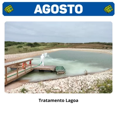 QNEWS Agosto 25