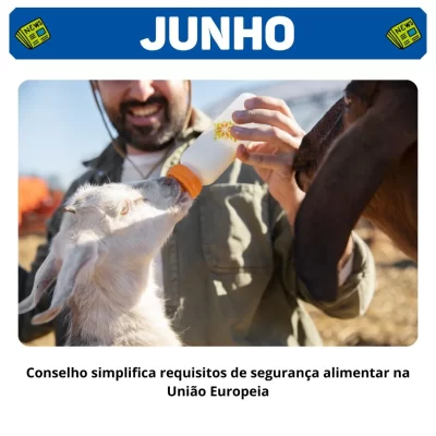 QNEWS Junho 26 QNEWS Junho 26